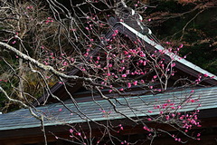 160107����ŷ���Ҵ�����1