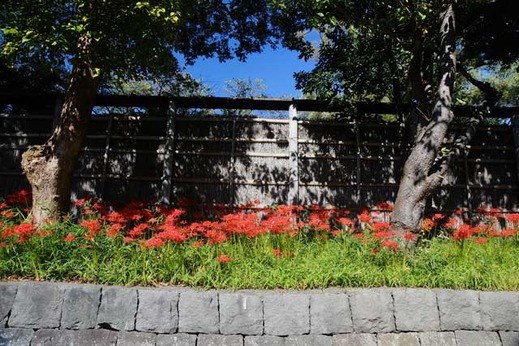 130927ȬȨ�ܥҥ���Х�