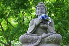 100620Ĺë����������3