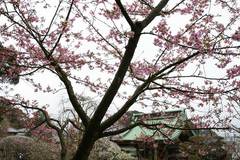 1002Ĺë�����ź�