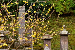 220123̯�ܻ������Х�