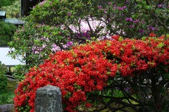 130425���ܱ��ĥĥ�2