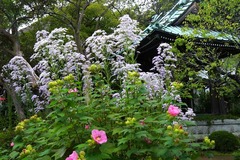 131010��¢��������1