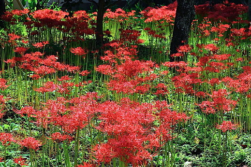 201002�Ѿ����ҥ���Х�1