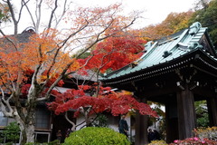 5121207��¢������1