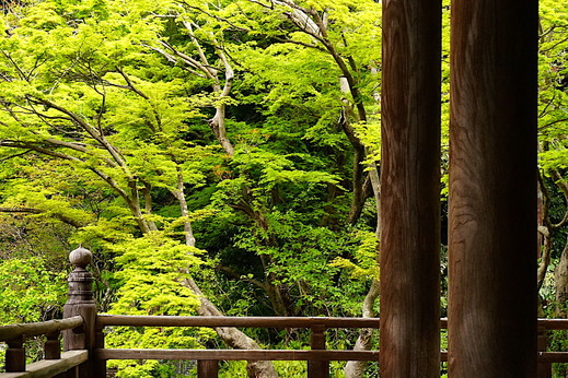 220416̯�ܻ�����2