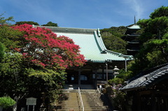 180814ζ¸ý»û¥µ¥ë¥¹¥Ù¥ê2