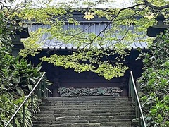 240406̯ËÜ»û¿·ÎÐ1