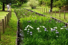 160614�ե����󥿡��ϥʥ��祦��