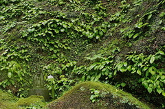 150706��Ļ����勵�Х�