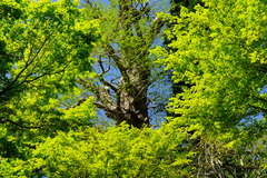 160418Ĺë������2