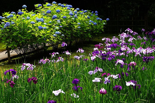 210602��������������ϥʥ��祦��