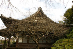 090124�¹������������