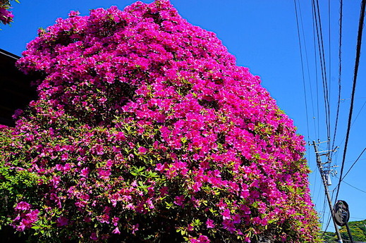 230427���ܱ��ĥĥ�4