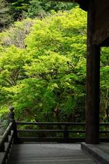 070411̯�ܻ�����