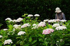 160614�ե����󥿡���������