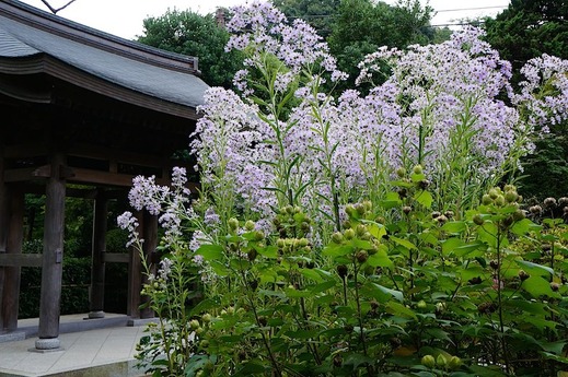 151018��¢��������