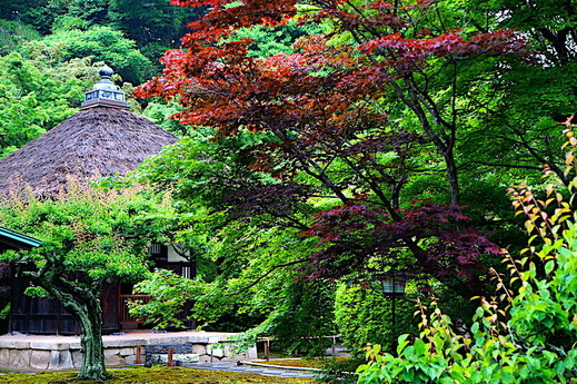 230520Ĺ��������1