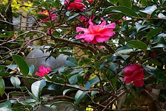 240113���һ�������