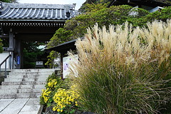 181113���ܱ��ĥ�֥��ȥ�����