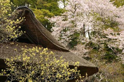 090405��Ļ�������