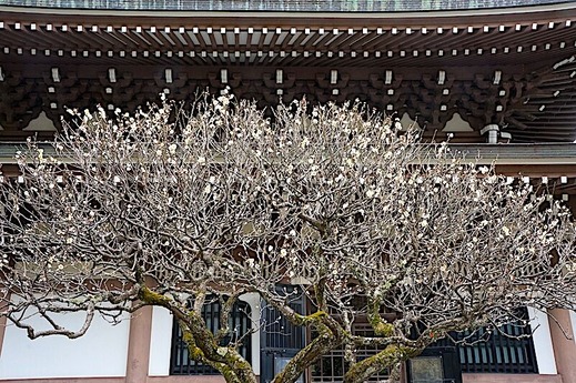 240122�߳л�����1