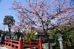 150322�ᲬȬȨ�ܥ�����