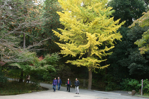 101120�߳л�����2