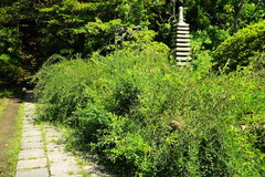 160901���������ϥ�1