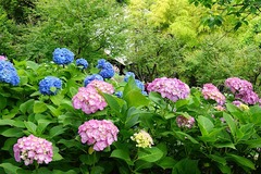 160606Ĺë����������1