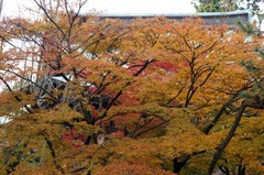 121130�߳л�����4