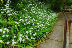 150420̯�ܻ����㥬2