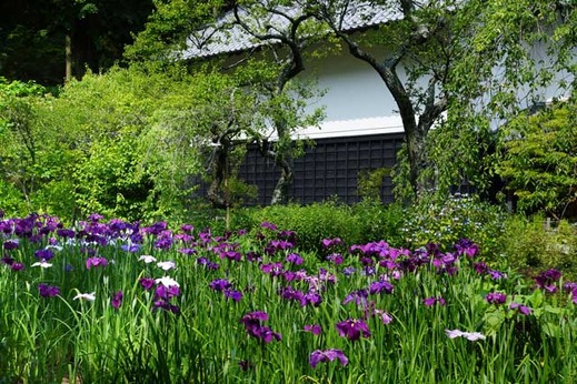 130609��Ļ��ϥʥ��祦��