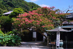 150810�ܳл����륹�٥�1