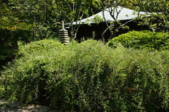 080910���������ϥ�