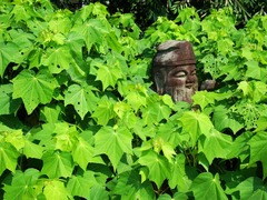 100724̯δ���ե襦