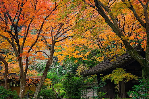 181223����������1