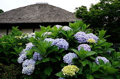 150617�߳л���������4