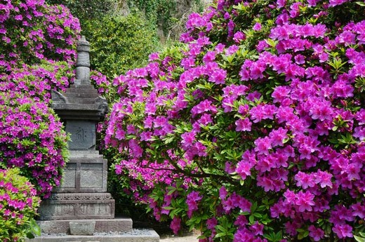 130429���ܱ��ĥĥ�2