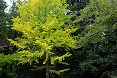 151122�߳л�����