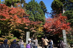 151201�߳л����գ�