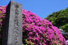 170511���ܱ��ĥĥ�3