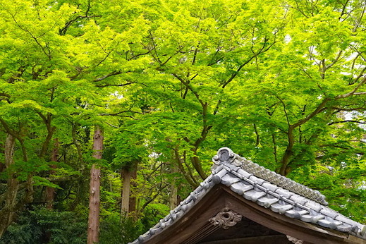 210412̯�ܻ�����1