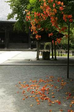 090719̯�ܻ��Υ����󥫥���1