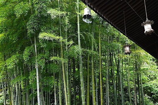 161025Ĺë������