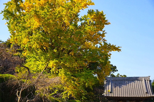 211120Ĺ��������1