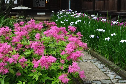 140609��¢��