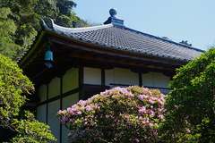 150423���ܱ��ĥĥ�1