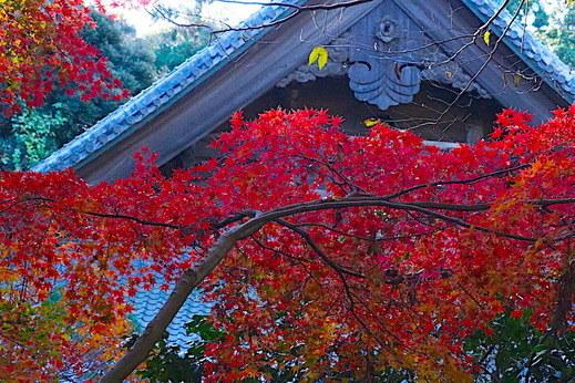 171206̯�ܻ�����3