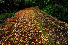 141126̯�ܻ�����1